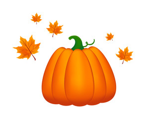 Autumn Pumpkin and leaves. Vector illustration. 