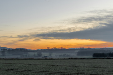 A soft morning in the fields.