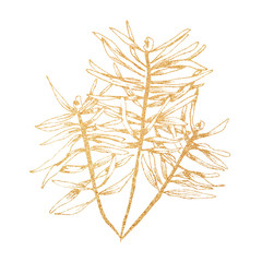 Hand drawn Christmas plants.