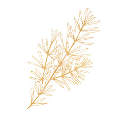 Hand drawn Christmas plants.