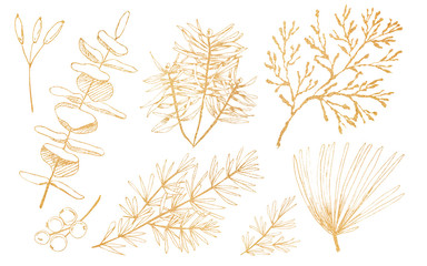 Hand drawn Christmas plants.