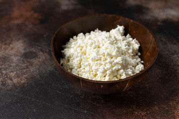 Fermented milk. Cottage cheese in a bowl of coconut on a dark background.