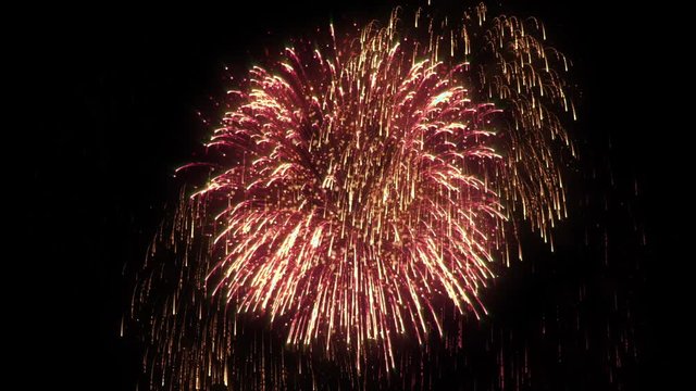 3D Abstract. Realistic animation Firework Colorful.