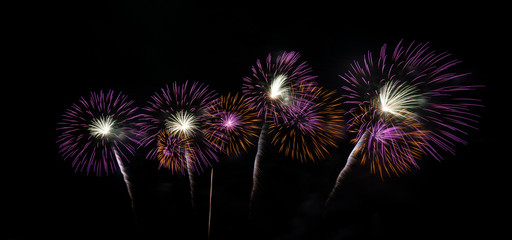 Fototapeta premium Fireworks light up the sky