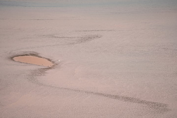 Detail of a sandy coast in Scotland