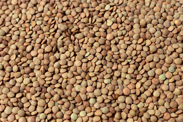 Vegetarian food. Lentil texture Image with horizontal orientation.