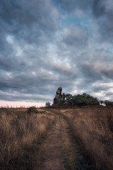 Fototapeta premium Devilswall trail in the Harz mountains near Thale in Germany