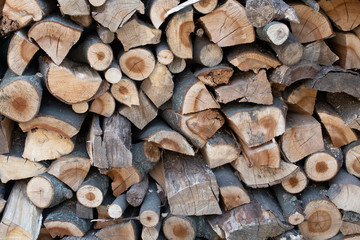 Fototapeta premium Wood logs of various shapes
