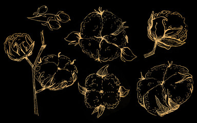 Hand drawn Christmas plants.Set of cotton branch isolated on black background.Xmas greenery.New Year greeting card in modern line art style.Winter seasonal greetings, party, celebration.