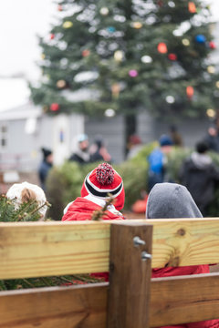 Family Christmas Tree Farm