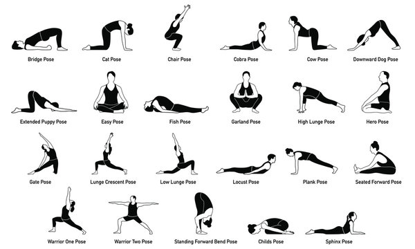 5 Popular Yoga Poses And What They Symbolize • Yoga Basics-gemektower.com.vn