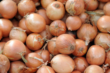 seasonal fruit and vegetables - shopping at the market - onions