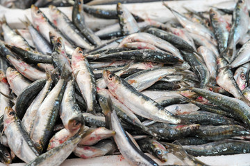 Obraz premium shopping at the market - anchovies and sardines - blue fish, omega 3