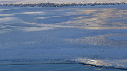 Frozen River with Birds Resting on Ice in Winter Landscape