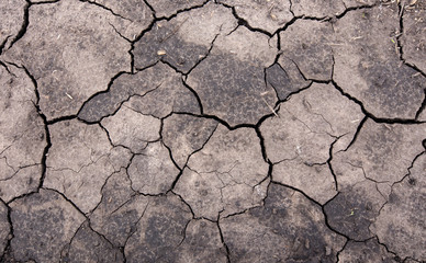 Global warming drought. Creative cracks in the ground