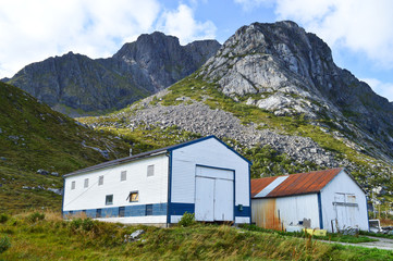 Countryside with traditional houses on the coast of Lofoten Islands in Norway