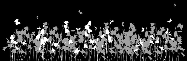 campanula flowers and butterflies isolated on black