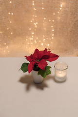 mini weihnachtsstern pflanze und teelichtglas mit leuchtendem teelicht selbstgemacht diy mit salz vor bokeh hochformat