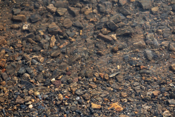 Pebbles at the bottom of the river are visible through clear water