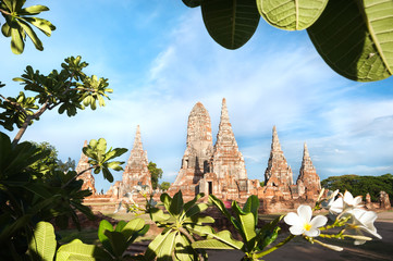 Wat Chaiwatthanaram framed by a frangipani tree, Ayutthaya, Thailand
