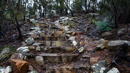 Knocklofty Reserve nearby Hobart in walking distance for a hike in Tasmania, Australia