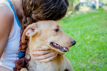 Girl Hugs Brown Dog - Dog for Adoption