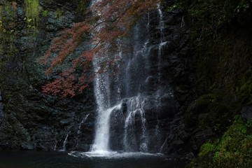 Fototapeta na wymiar 滝と紅葉