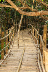 Bamboo bridge over to the forest
