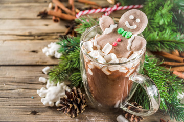 Funny christmas cocoa with marshmallow