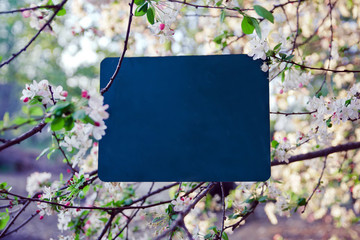 Cherry Blossom Message Chalk Board