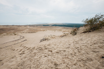 Parnidis Dune in Nida, Lituania