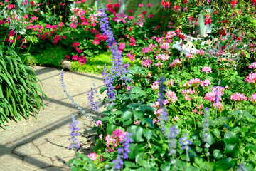 Fototapeta na wymiar blooming flower plant in garden park