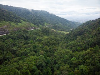 Fototapeta na wymiar Aerial view of forest and hills