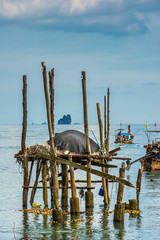 Bootssteg in der Phang Nga bay auf  Koh Yai Noi in Thailand