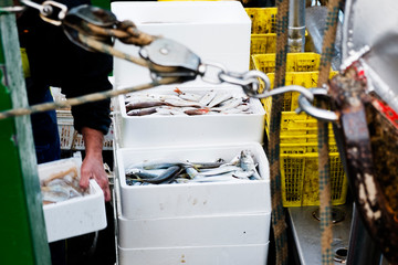 fisherman stacking boxes on board