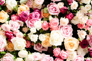 Beautiful floral wall with pink and white roses.