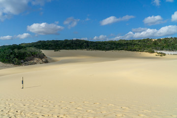 the bright desert beach near the sea on Fraser Island in Australia