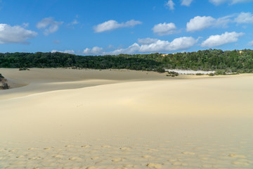 the bright desert beach near the sea on Fraser Island in Australia