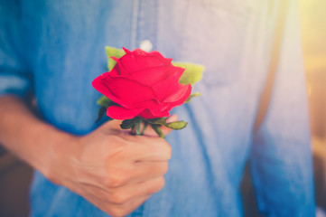A man hold a red rose. Valentine's day gift