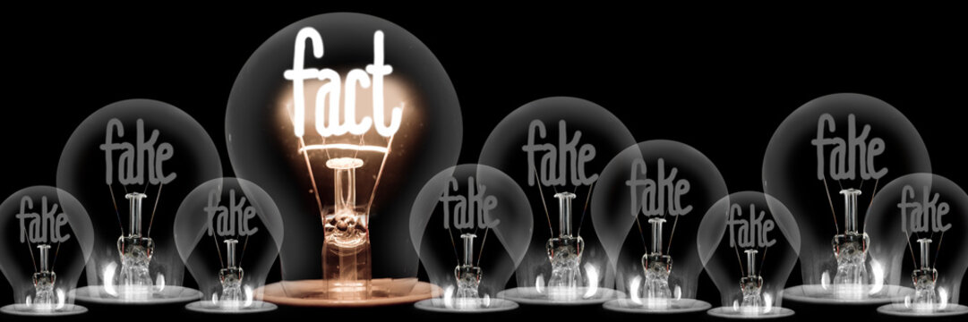 Light Bulbs With Fake And Fact Concept