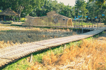 wooden footbridge in rice straw hay paddy field