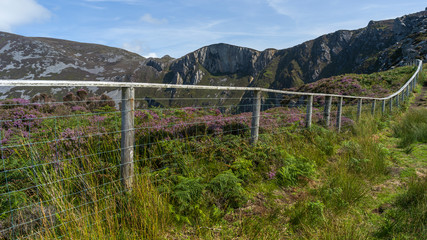 Fototapeta na wymiar Fence on a hill, Slieve League, County Donegal, Ireland