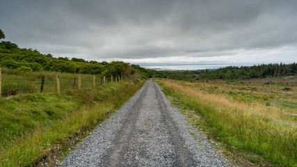 Dirt road passing through field, Grange, County Sligo, Ireland