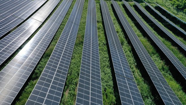 Solar Panel Farm (Drone)