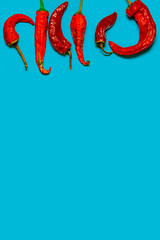 Dried red chili peppers lie on a multi-colored background