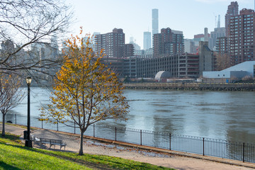 Obraz premium Empty Waterfront at Rainey Park in Astoria Queens New York during Autumn along the East River with the Roosevelt Island and Manhattan Skyline