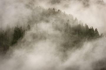 Nebelwolken ziehen über Berghänge in Vancouver Island