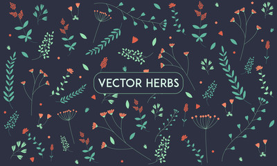 Botanical background: herbs, leaves and flowers of simple form on a dark background. Concept of spring, summer. Cute herbs for postcards, prints. Flat, pattern. Suitable for packaging design.