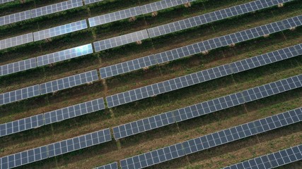 Solar Panel Farm (Drone)