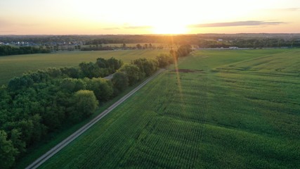 Sunrise over Rural Field (Drone)